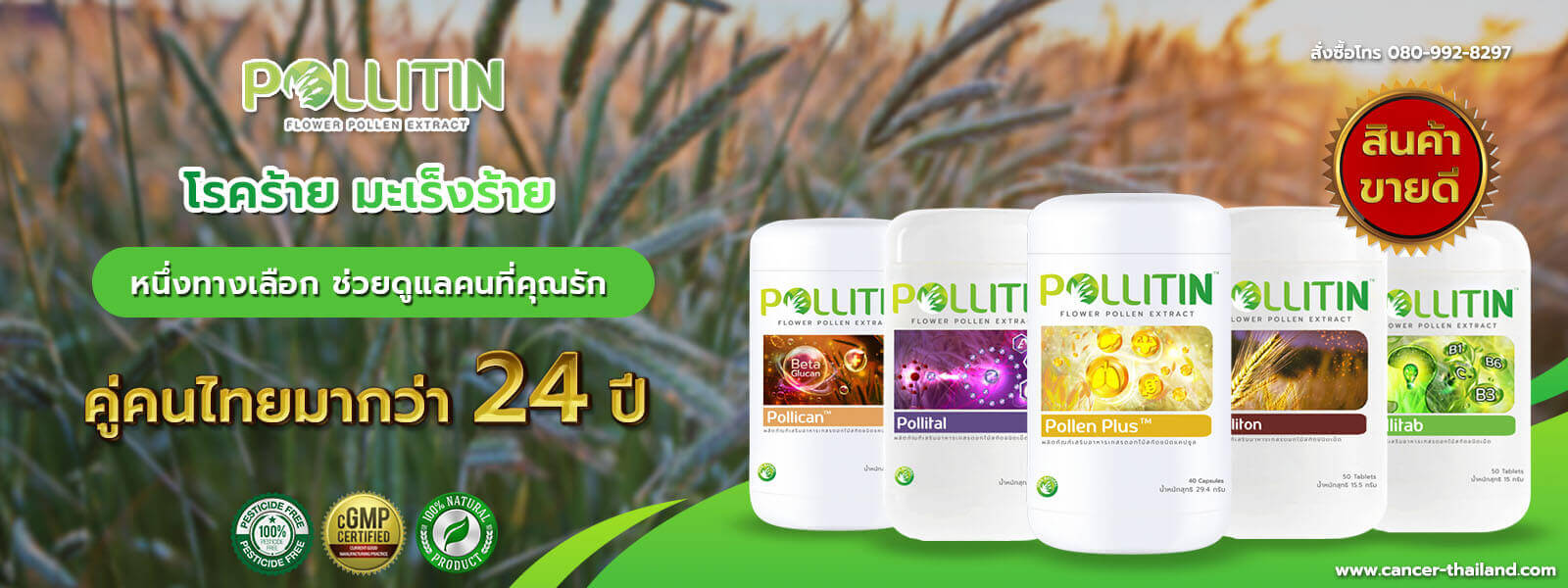 พอลลิติน รักษามะเร็ง ศูนย์จำหน่าย Pollitin